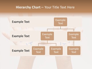 Hand Hold Holding Hands PowerPoint Template