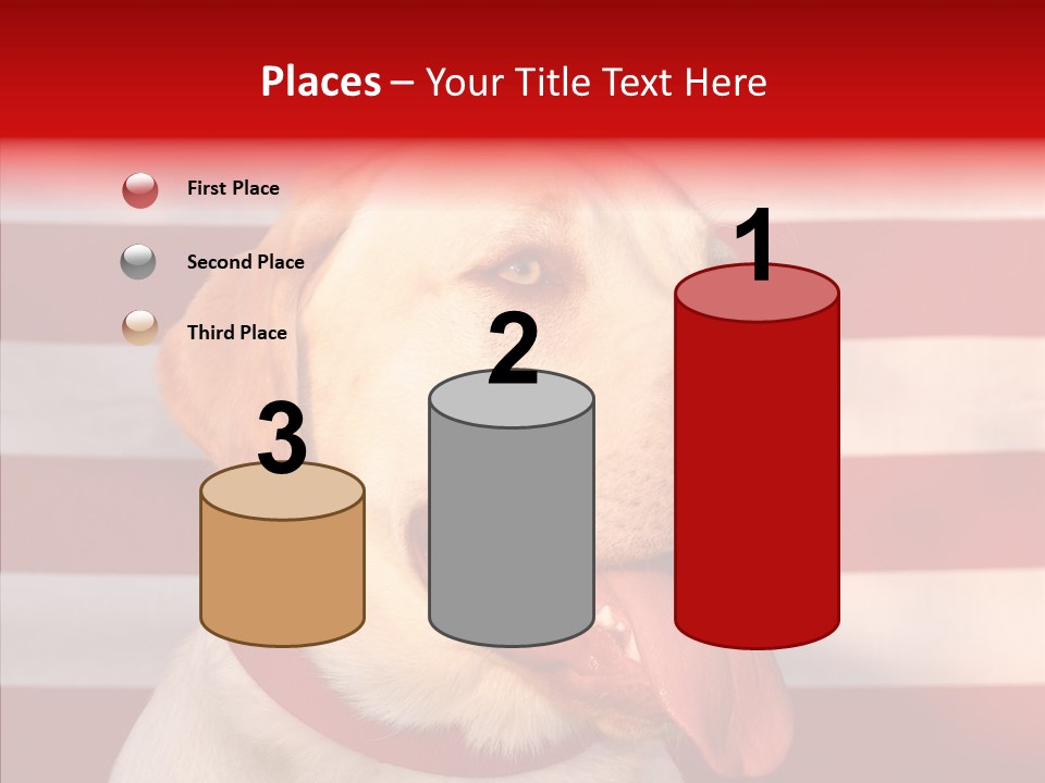 Senior  Caregiver Help PowerPoint Template