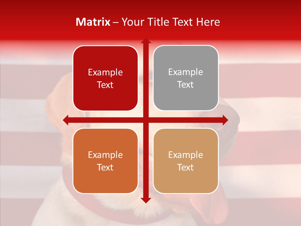 Senior  Caregiver Help PowerPoint Template