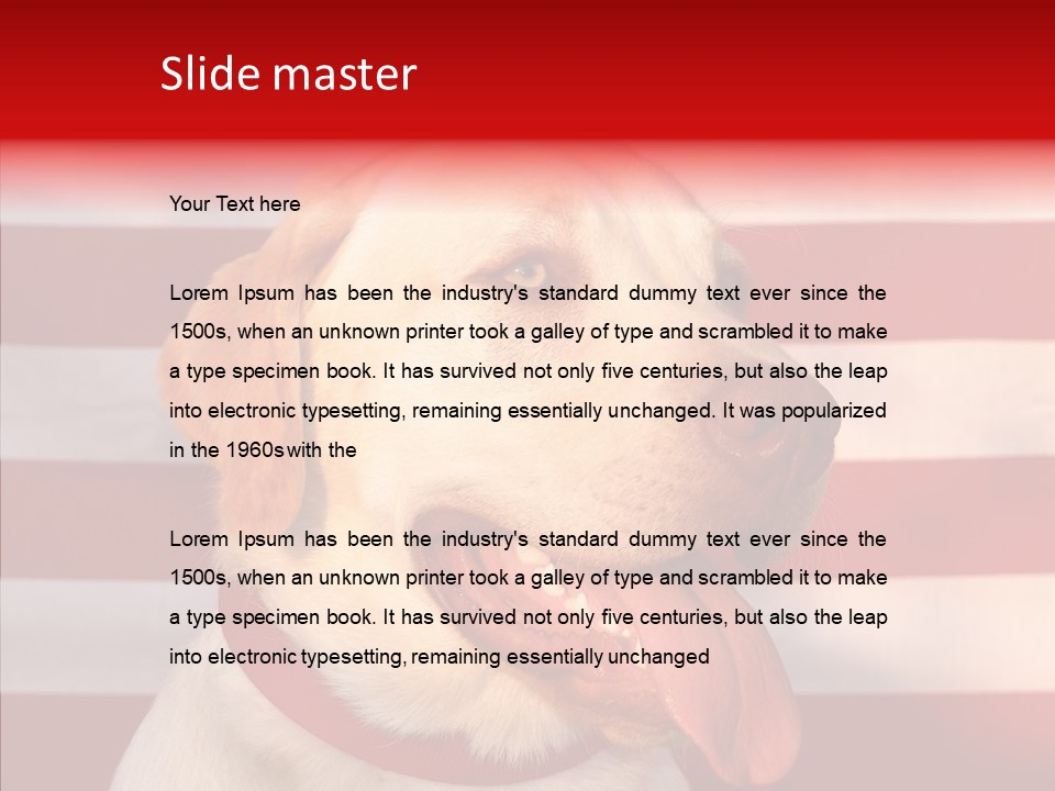 Senior  Caregiver Help PowerPoint Template