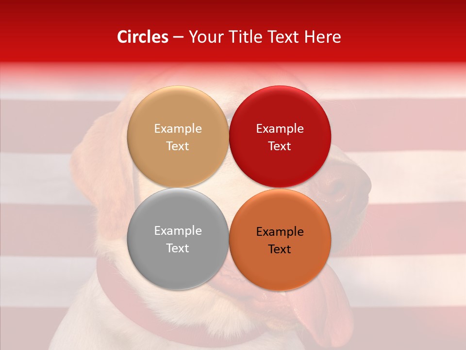 Senior  Caregiver Help PowerPoint Template