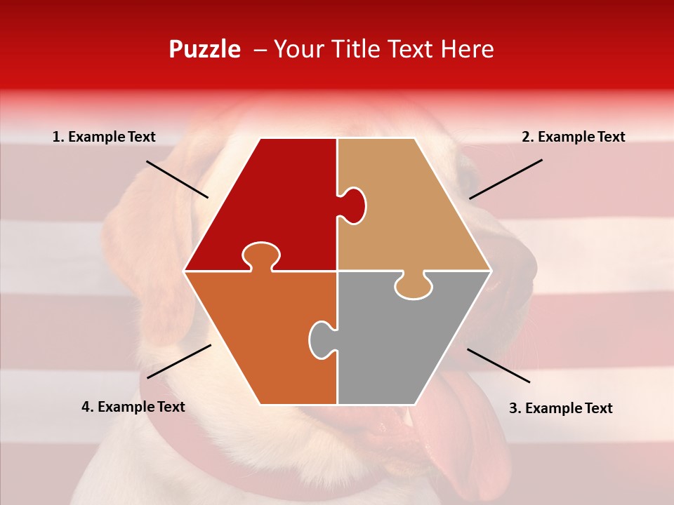 Senior  Caregiver Help PowerPoint Template