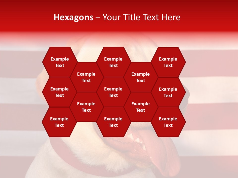 Senior  Caregiver Help PowerPoint Template