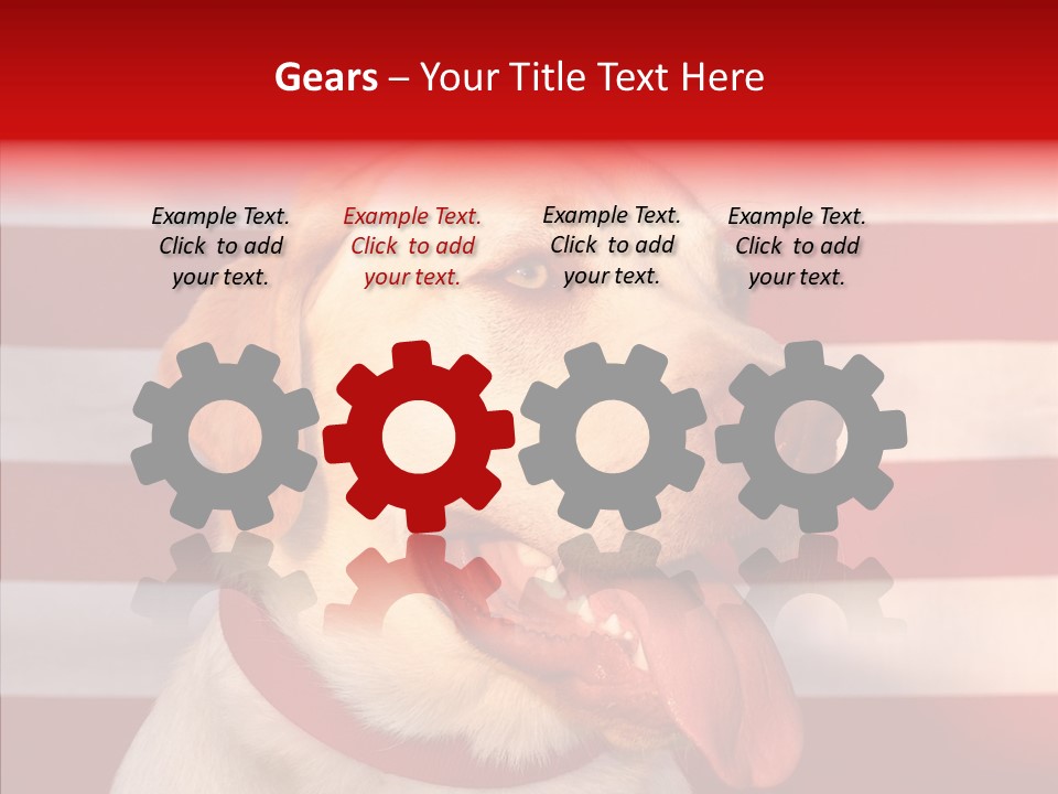 Senior  Caregiver Help PowerPoint Template