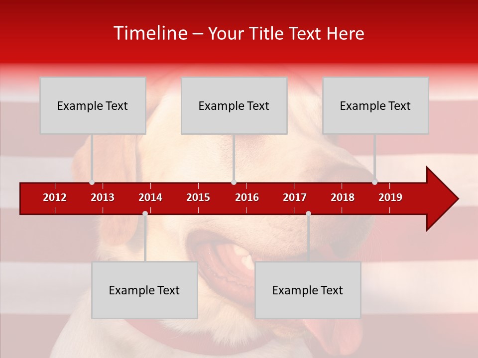 Senior  Caregiver Help PowerPoint Template