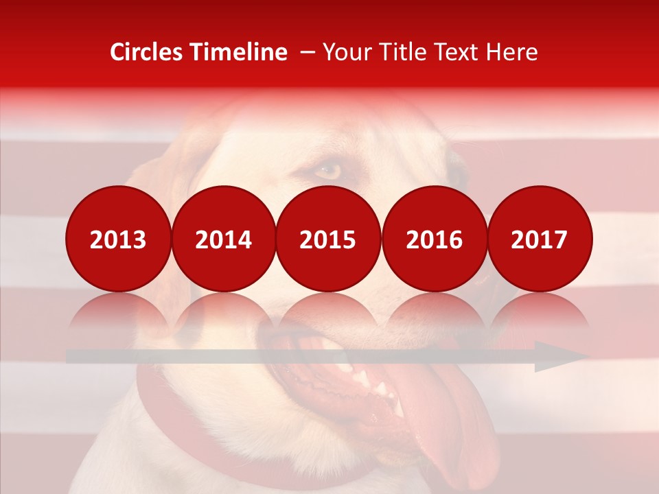 Senior  Caregiver Help PowerPoint Template