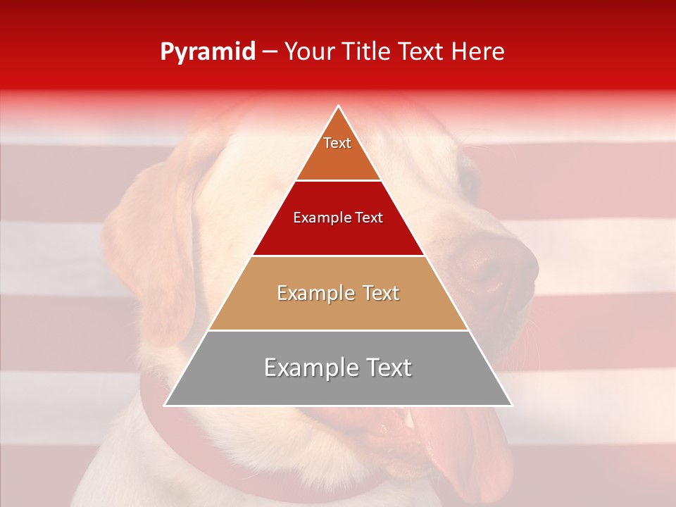 Senior  Caregiver Help PowerPoint Template