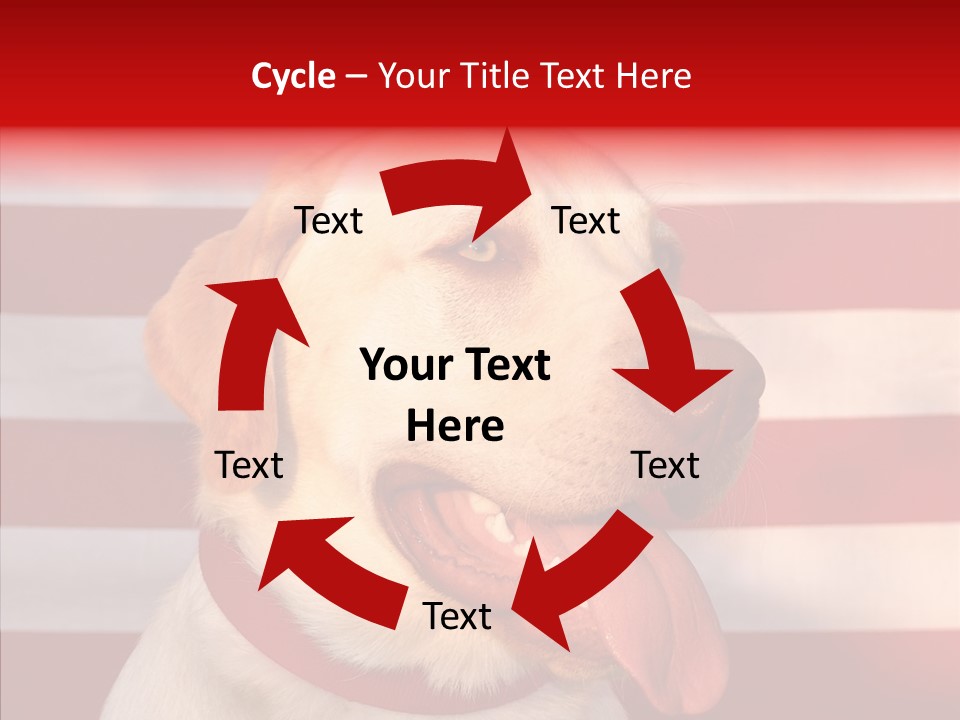 Senior  Caregiver Help PowerPoint Template