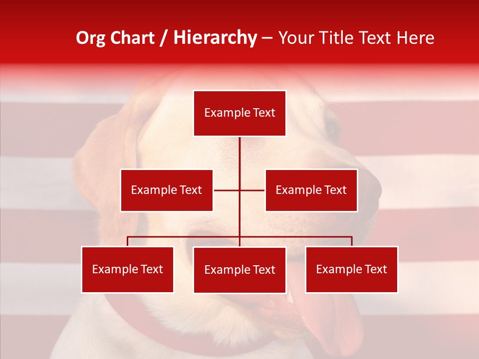 Senior  Caregiver Help PowerPoint Template