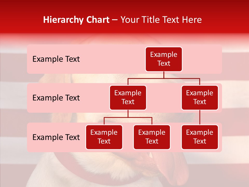 Senior  Caregiver Help PowerPoint Template