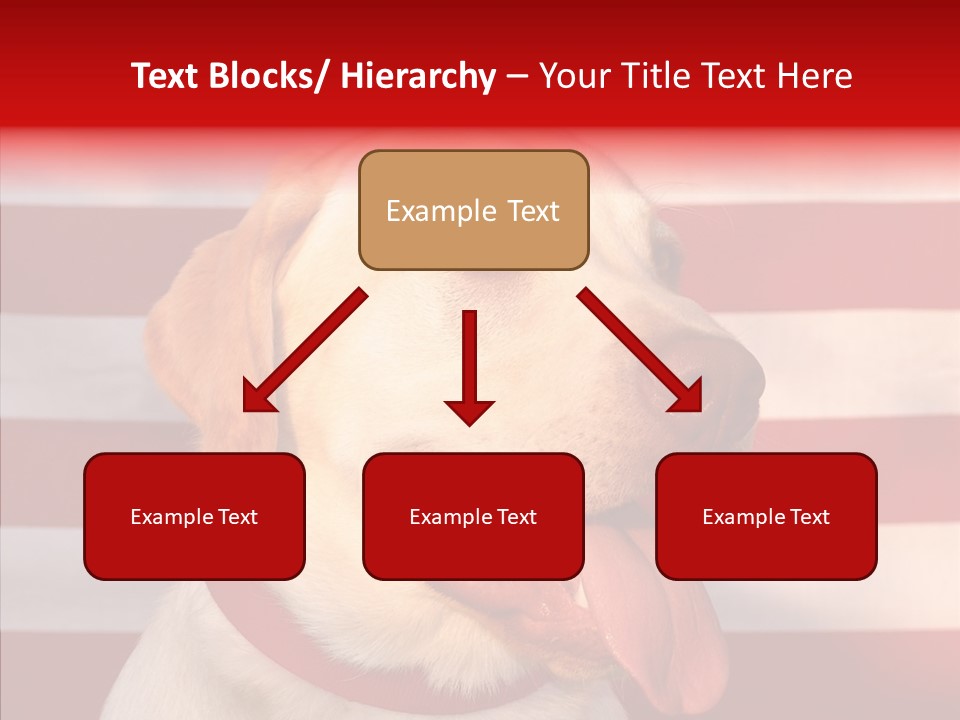 Senior  Caregiver Help PowerPoint Template