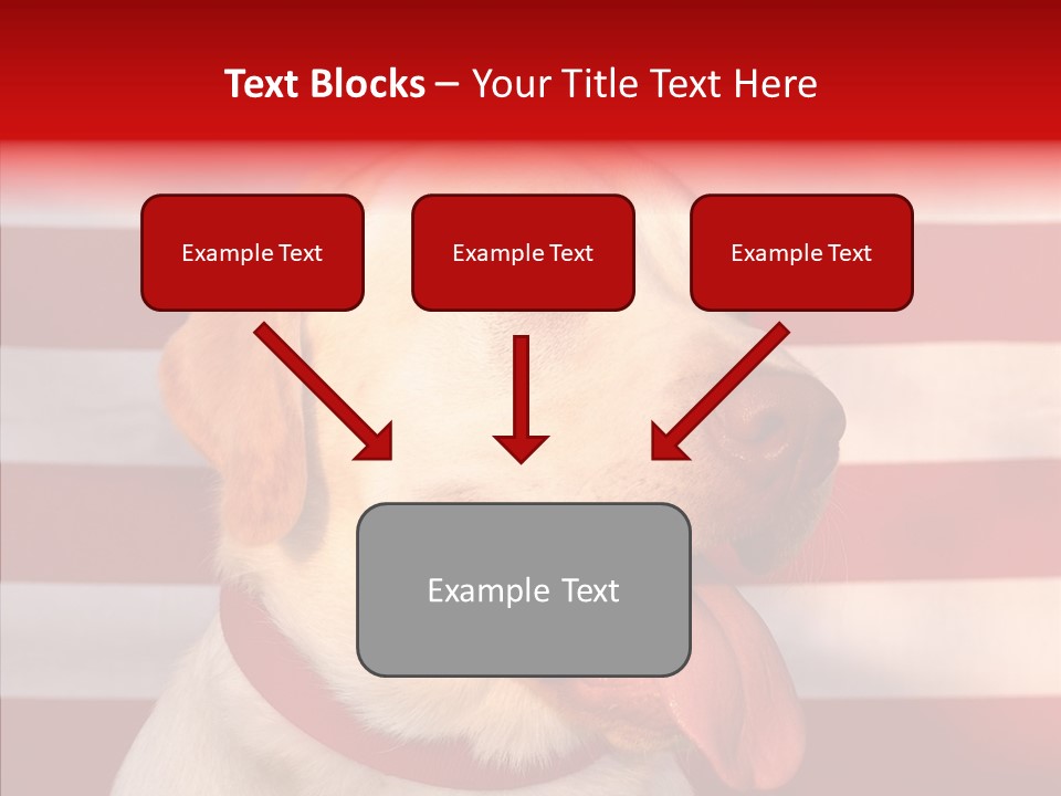 Senior  Caregiver Help PowerPoint Template