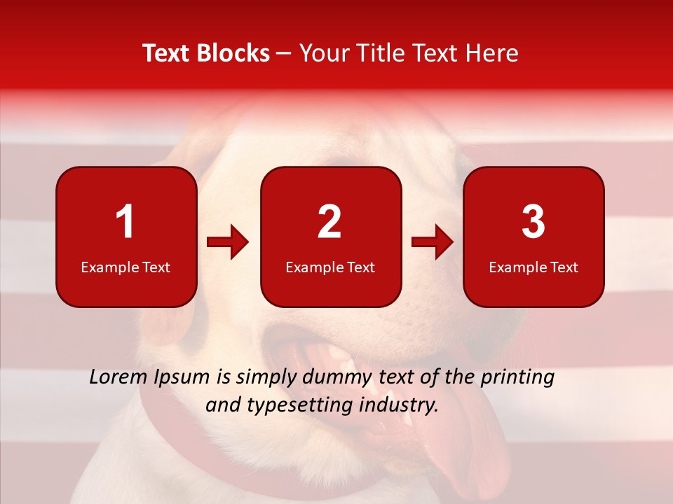 Senior  Caregiver Help PowerPoint Template