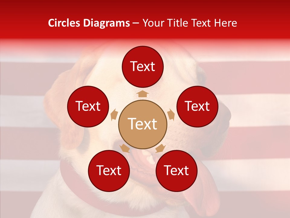 Senior  Caregiver Help PowerPoint Template