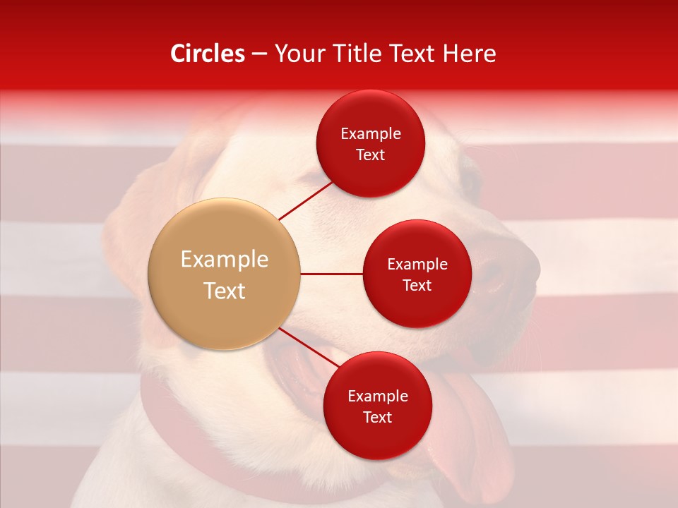 Senior  Caregiver Help PowerPoint Template