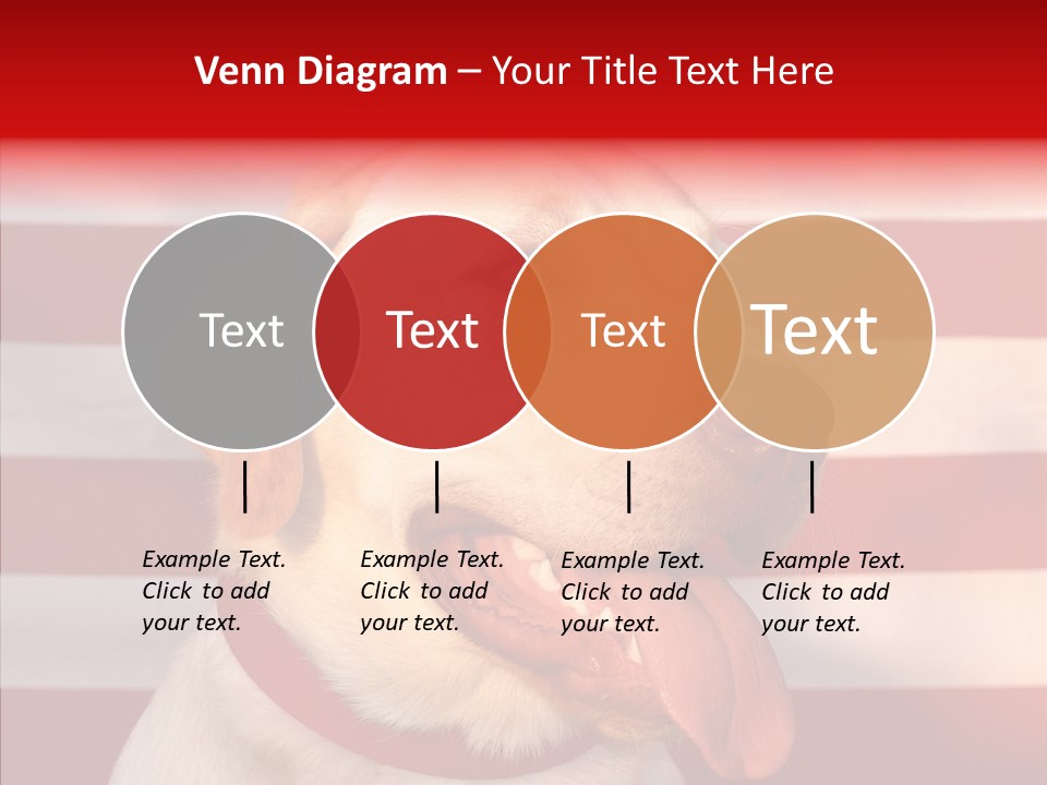 Senior  Caregiver Help PowerPoint Template