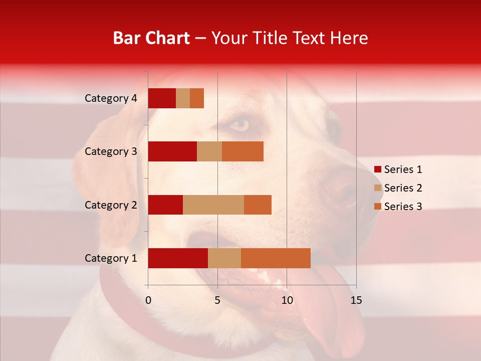 Senior  Caregiver Help PowerPoint Template