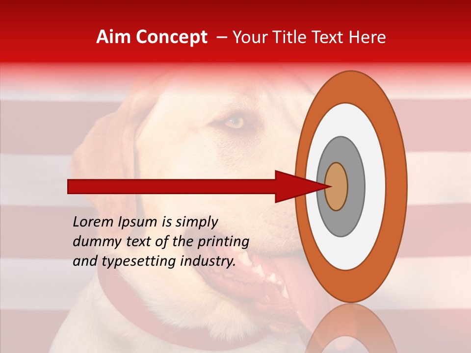 Senior  Caregiver Help PowerPoint Template