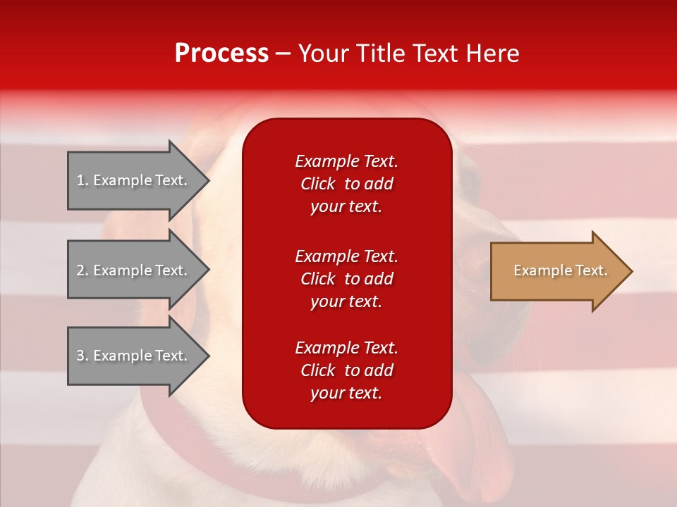 Senior  Caregiver Help PowerPoint Template