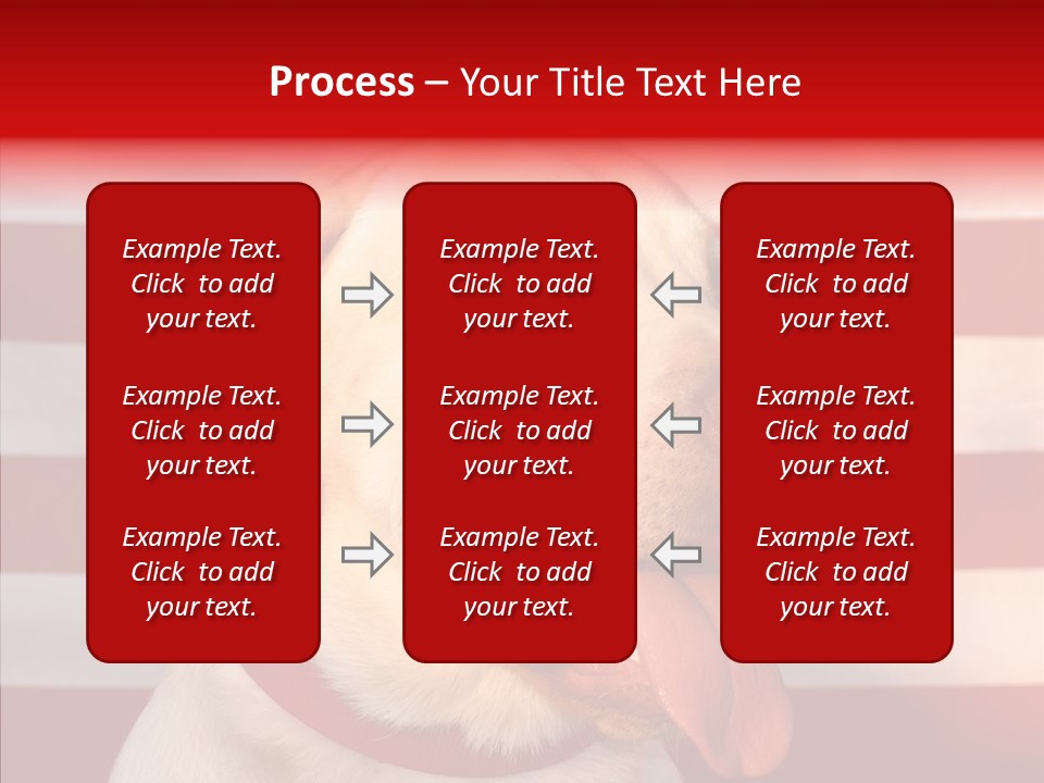 Senior  Caregiver Help PowerPoint Template