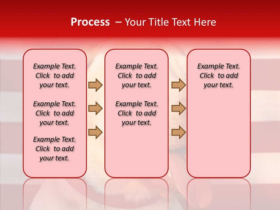Senior  Caregiver Help PowerPoint Template