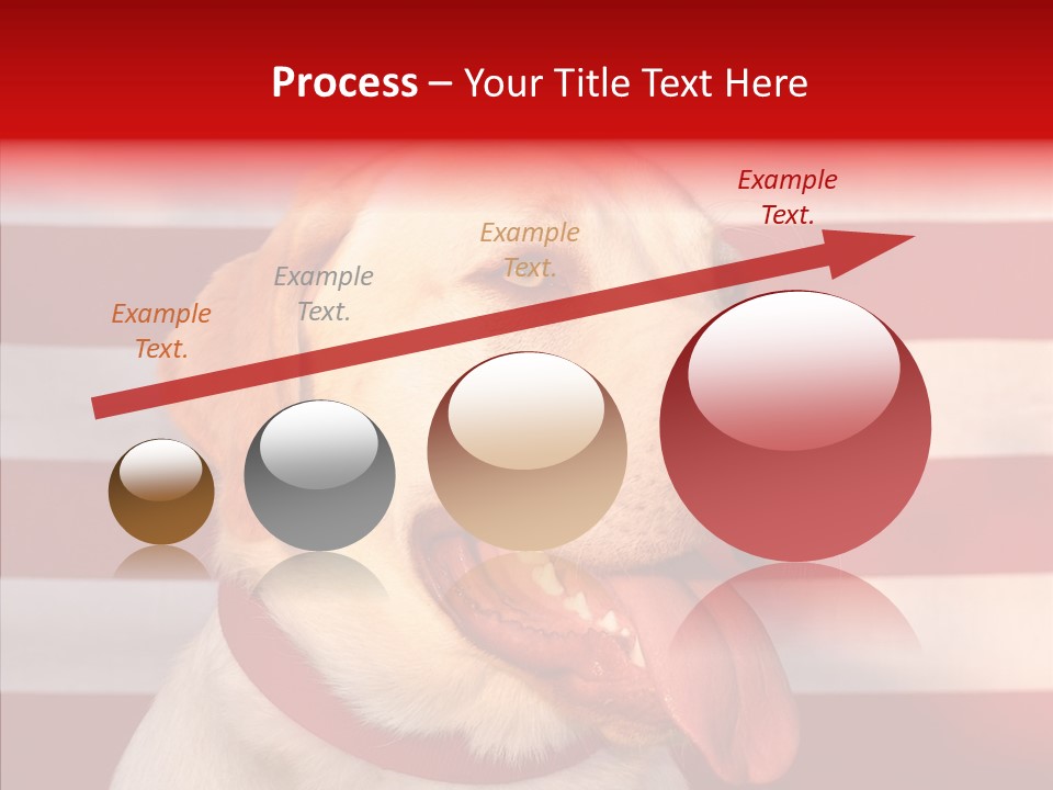 Senior  Caregiver Help PowerPoint Template