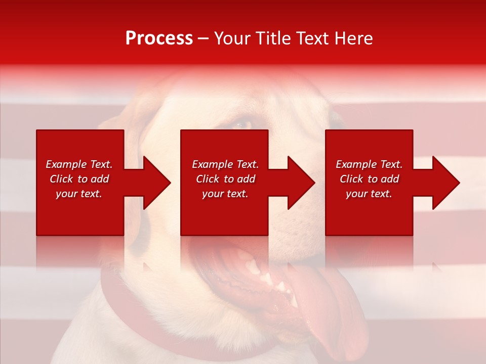 Senior  Caregiver Help PowerPoint Template