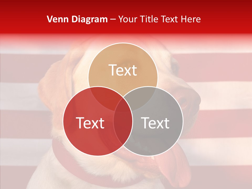 Senior  Caregiver Help PowerPoint Template