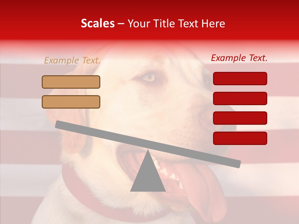 Senior  Caregiver Help PowerPoint Template