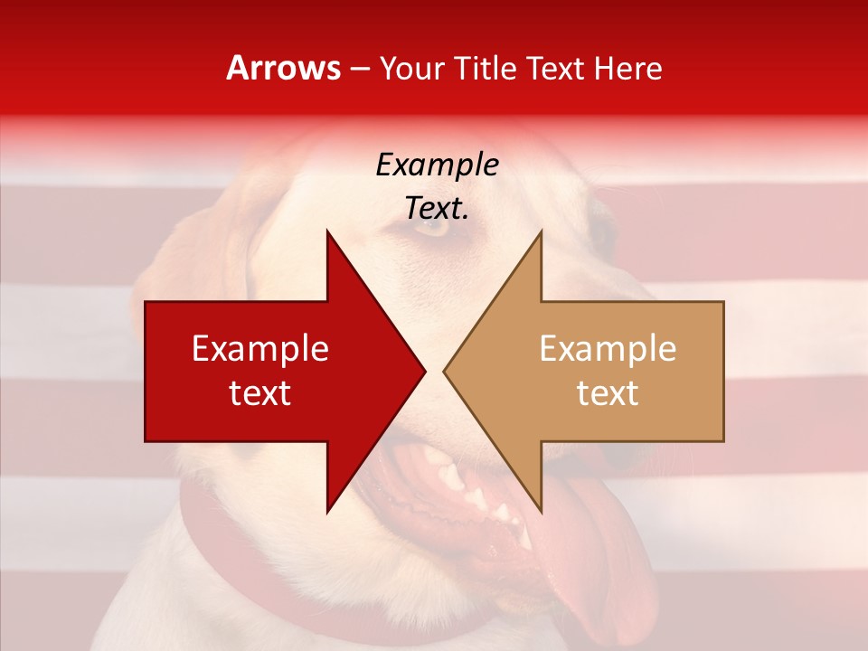 Senior  Caregiver Help PowerPoint Template