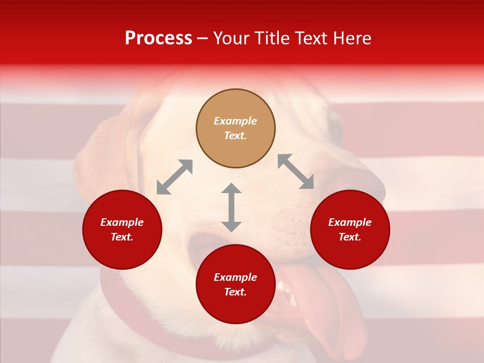 Senior  Caregiver Help PowerPoint Template