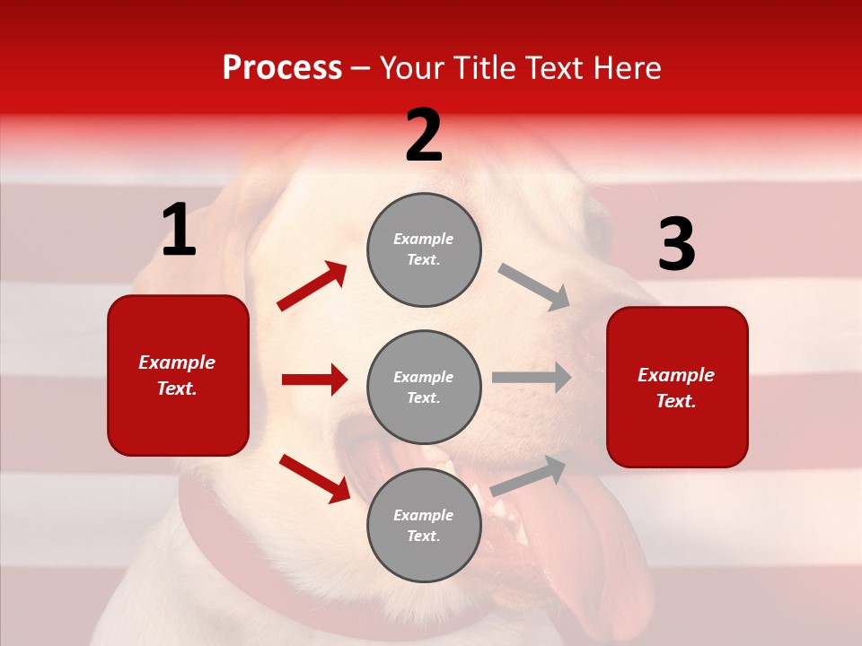 Senior  Caregiver Help PowerPoint Template