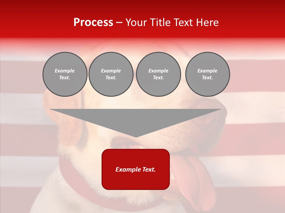 Senior  Caregiver Help PowerPoint Template