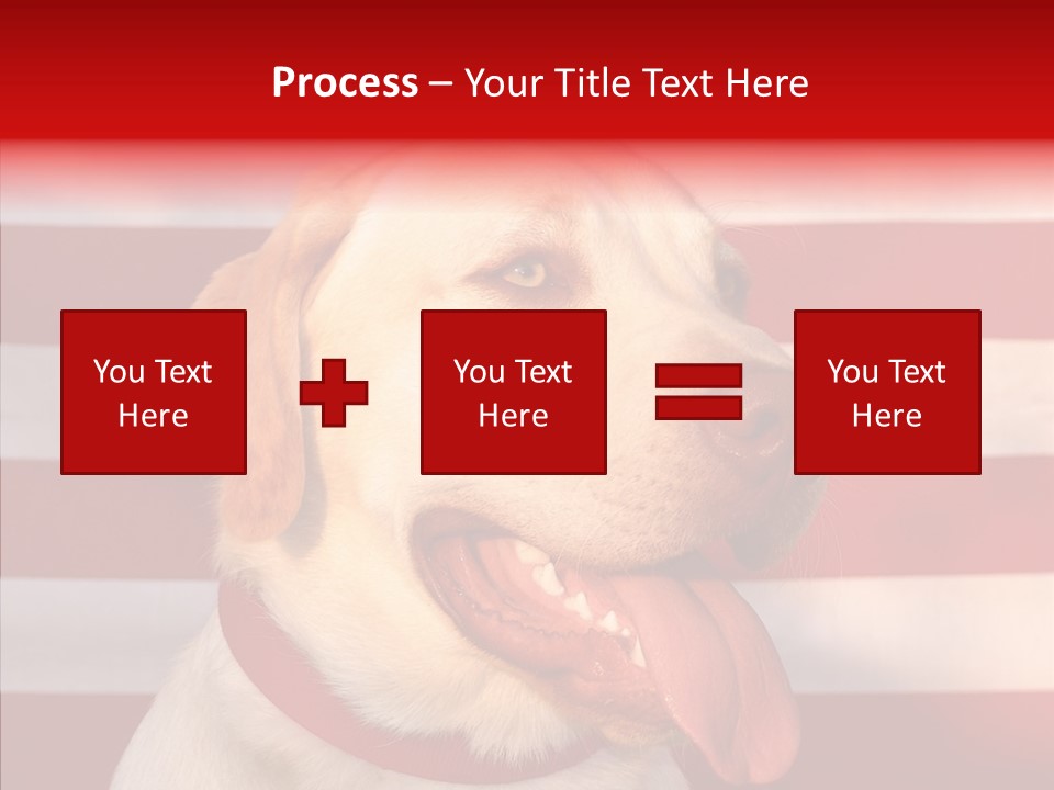 Senior  Caregiver Help PowerPoint Template