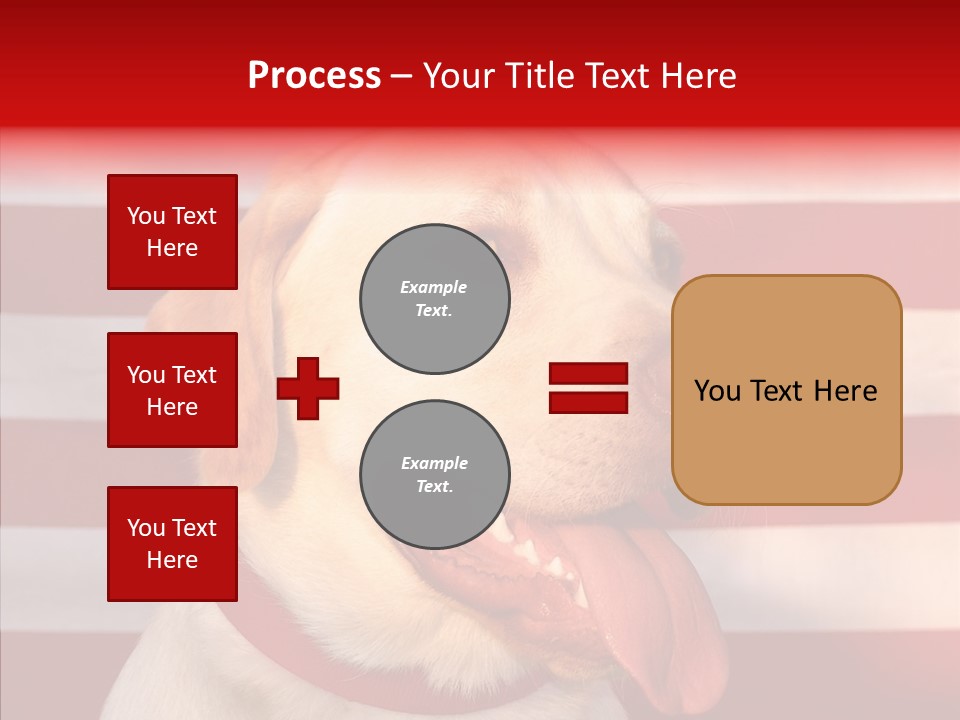 Senior  Caregiver Help PowerPoint Template