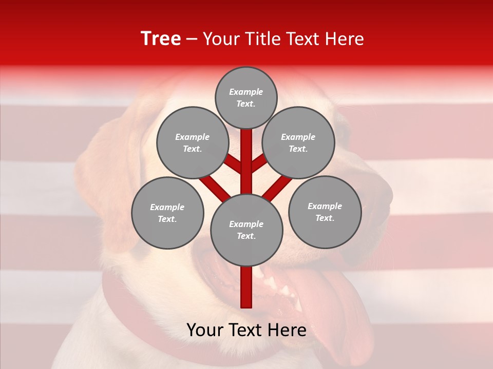 Senior  Caregiver Help PowerPoint Template