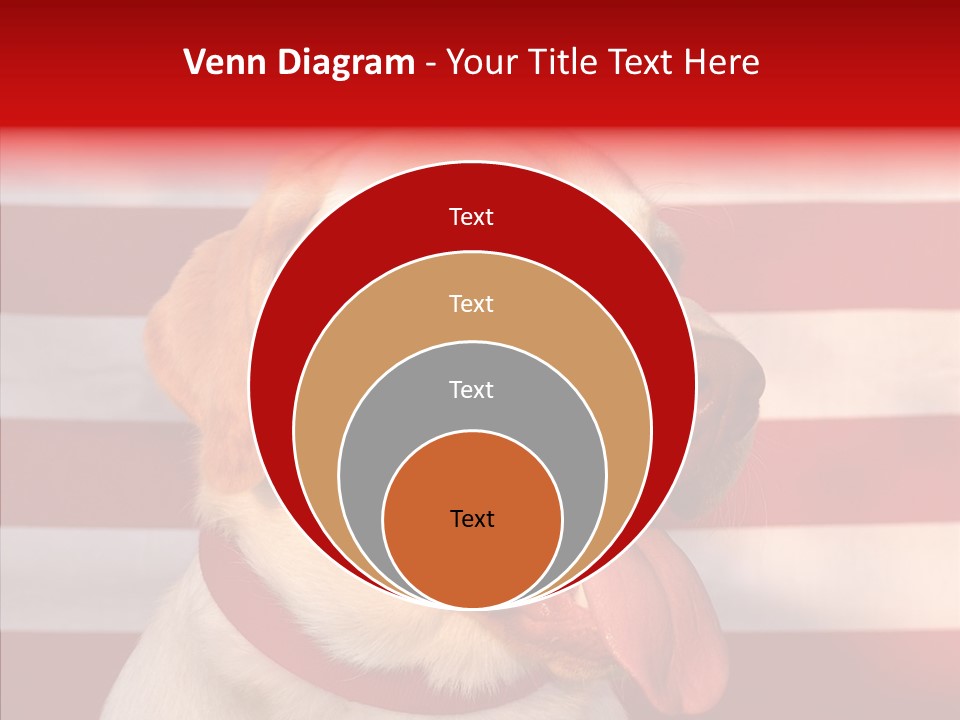 Senior  Caregiver Help PowerPoint Template