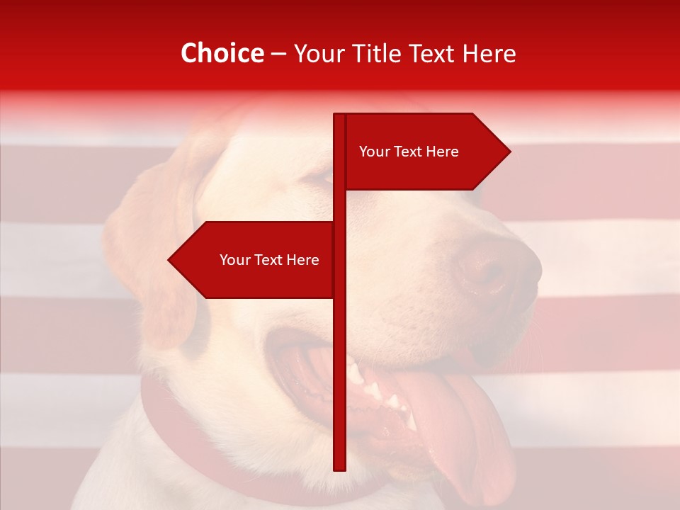 Senior  Caregiver Help PowerPoint Template