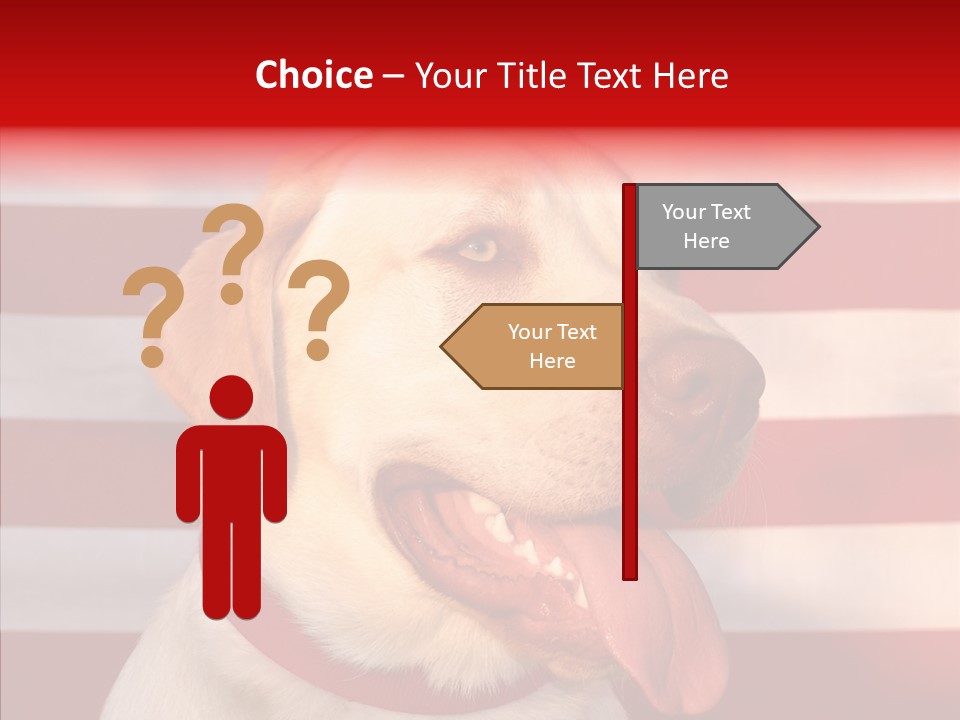 Senior  Caregiver Help PowerPoint Template