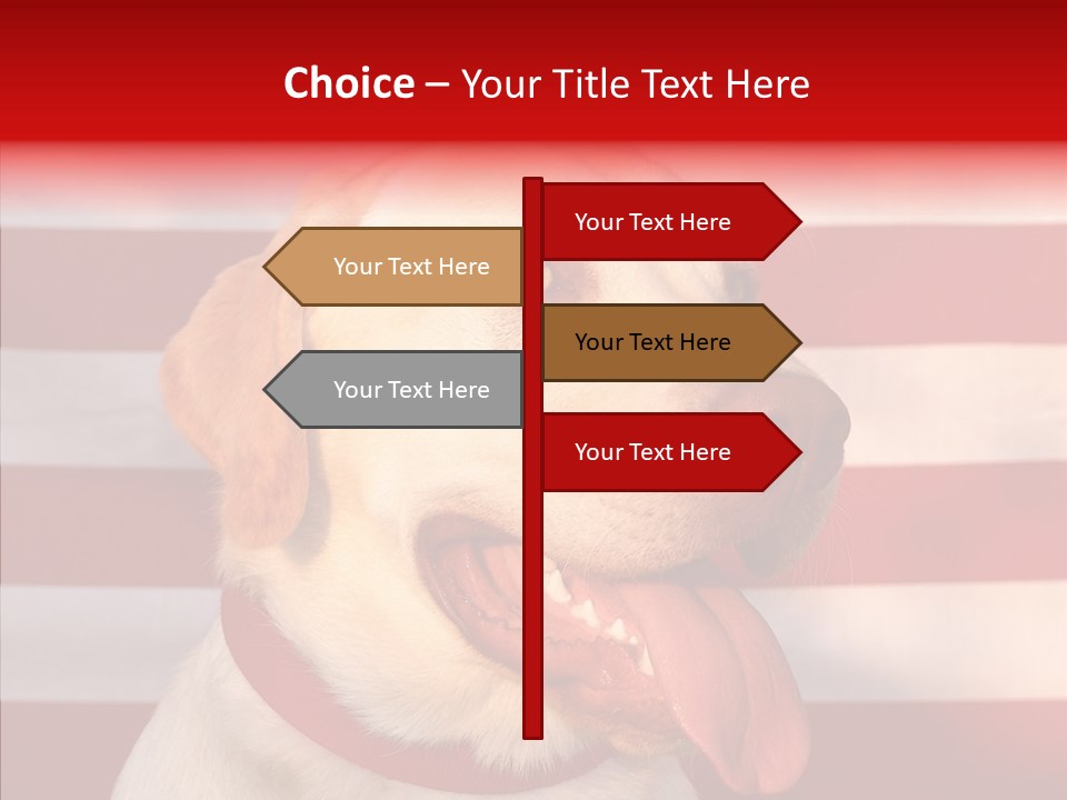 Senior  Caregiver Help PowerPoint Template