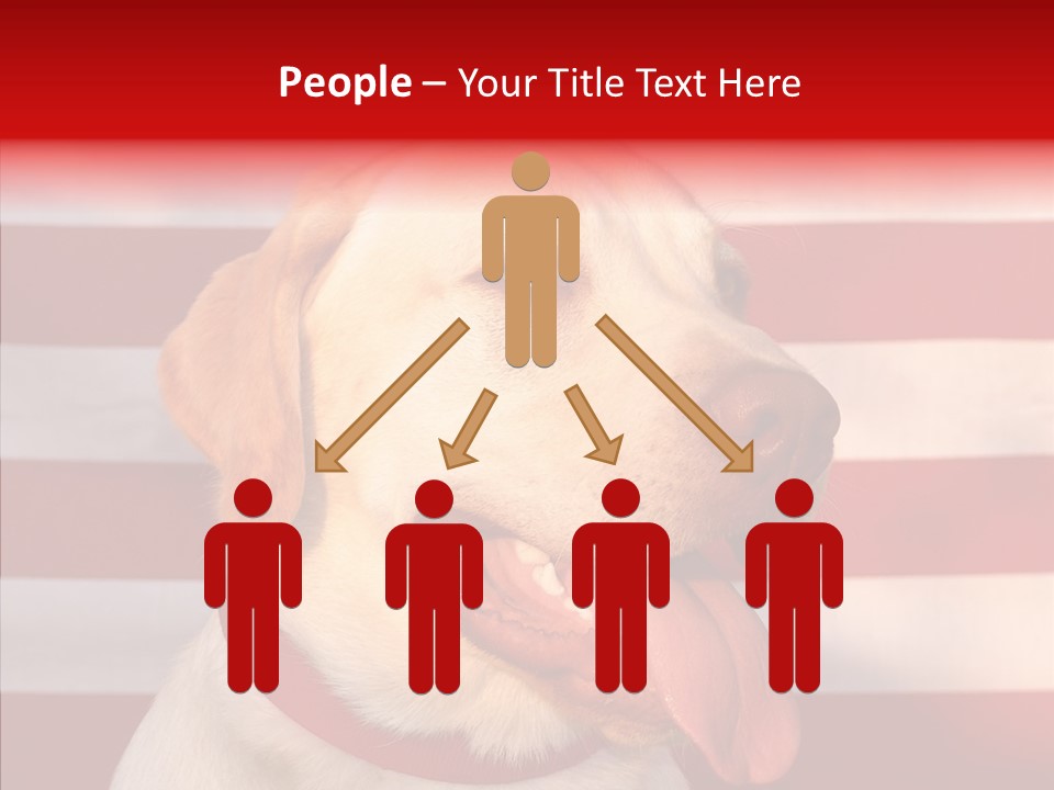 Senior  Caregiver Help PowerPoint Template