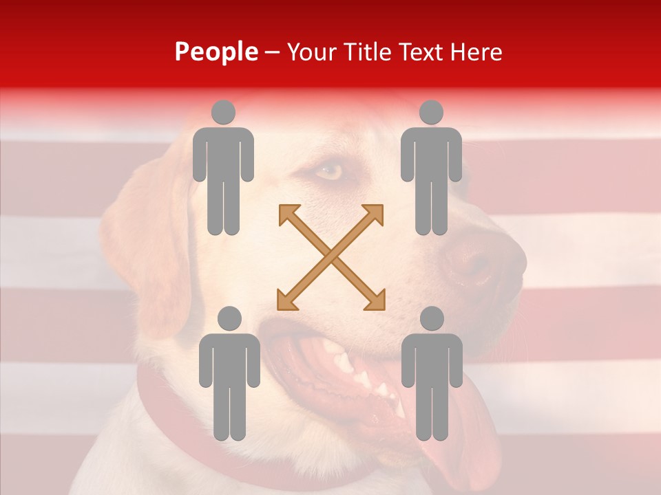 Senior  Caregiver Help PowerPoint Template