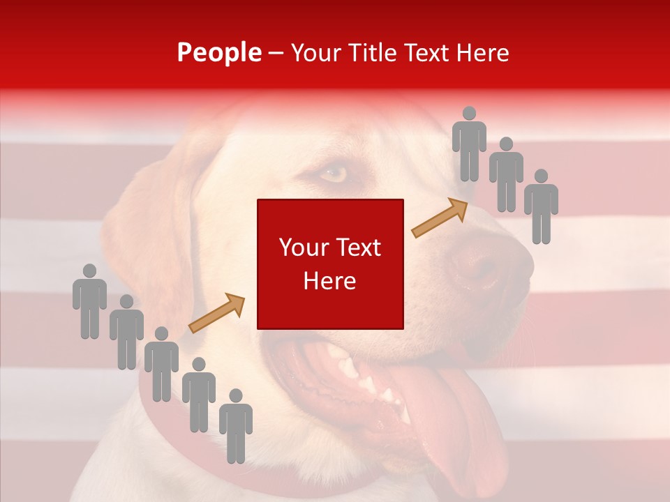 Senior  Caregiver Help PowerPoint Template