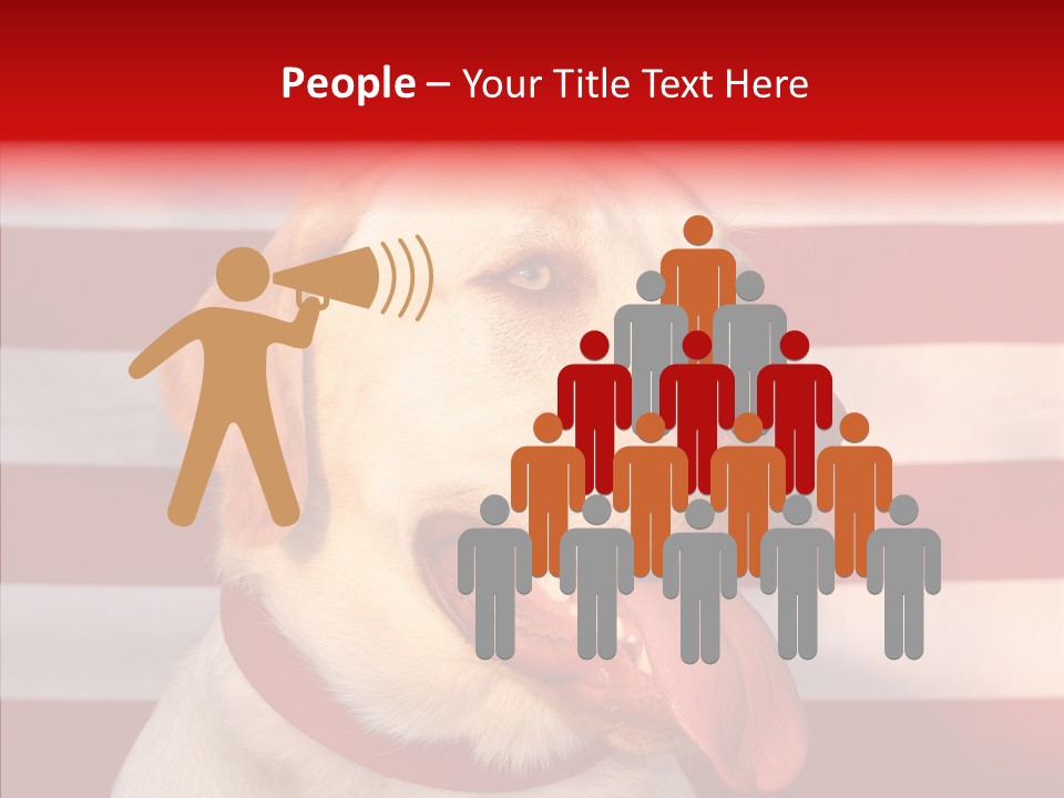 Senior  Caregiver Help PowerPoint Template