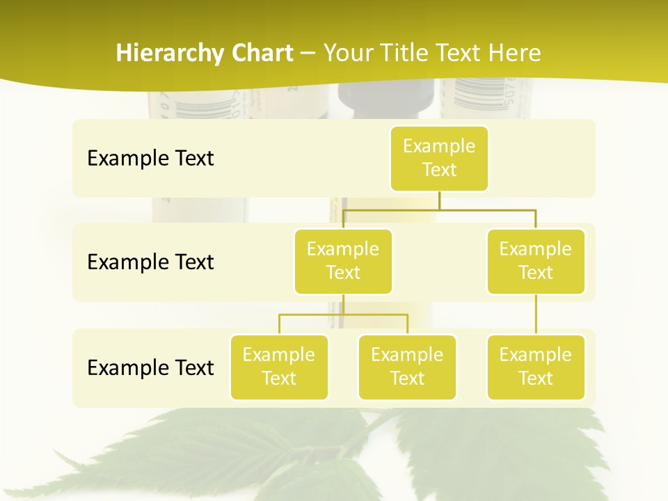 Closeup Senior Holding Hands PowerPoint Template