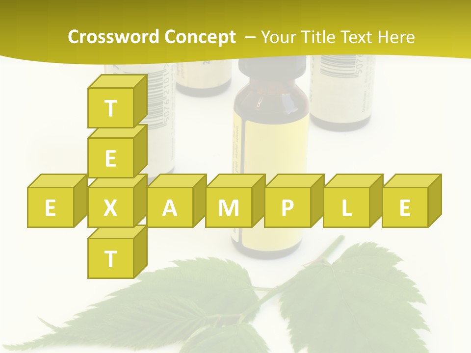 Closeup Senior Holding Hands PowerPoint Template