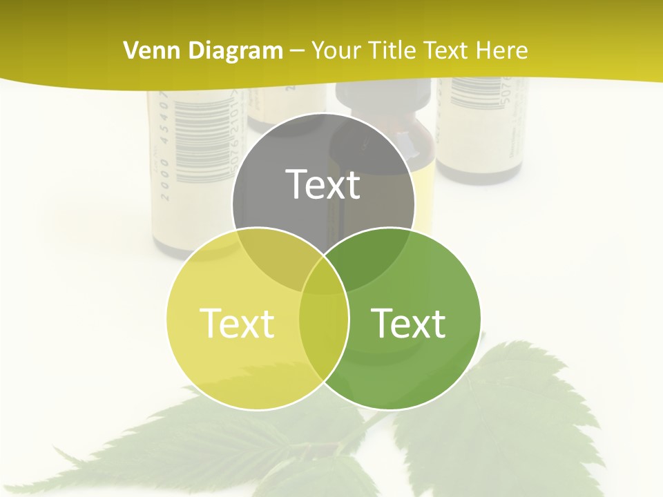 Closeup Senior Holding Hands PowerPoint Template