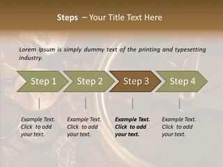 Female Elderly Two PowerPoint Template