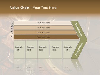 Female Elderly Two PowerPoint Template
