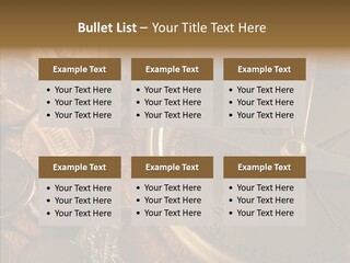 Female Elderly Two PowerPoint Template